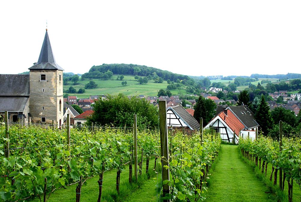 beste Lampenwinkel in Nederland - Limburg